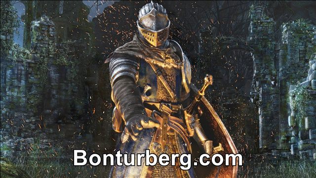 Dark Souls meme image: Dark Souls.