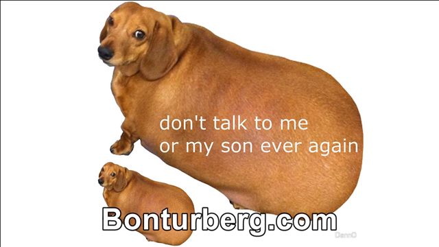 Don't Talk To Me Or My Son Ever Again meme image: chonky dog and a miniature version of the same dog and the caption don't talk to me or my son ever again.