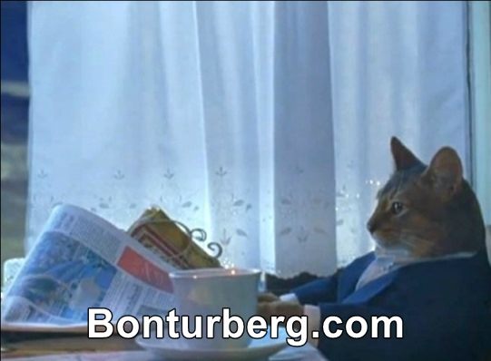 I Should Buy a Boat Cat meme image: I Should Buy a Boat Cat.