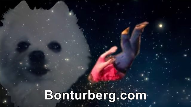 Shooting Stars meme image: Shooting Stars.