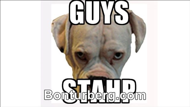 Stahp meme image: Stahp.
