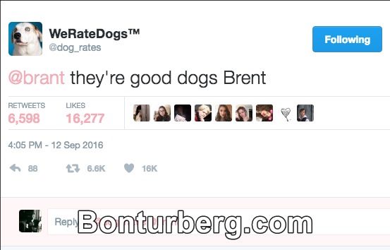 They're Good Dogs Brent meme image: WeRateDogsTM @brant they're good dogs Brent UKES 6,598 16,277 4:05 PM - 12 sep 2016 FOUOWing 88 6.6K 16K Reply to @dog_rates @brant.