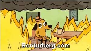 This Is Fine meme image: This is fine meme / everything is fine meme.