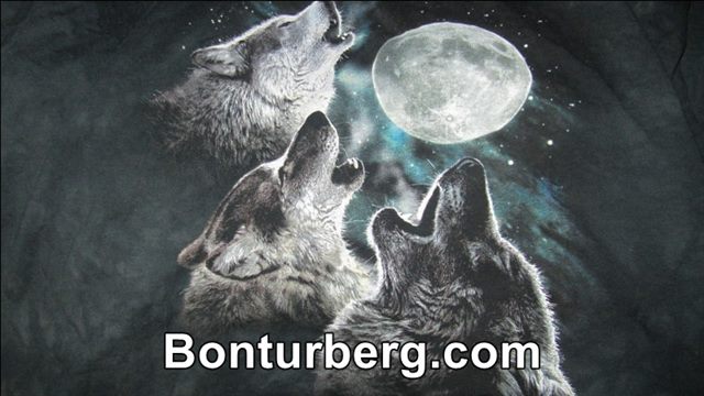 Three Wolf Moon meme image: Three Wolf Moon.