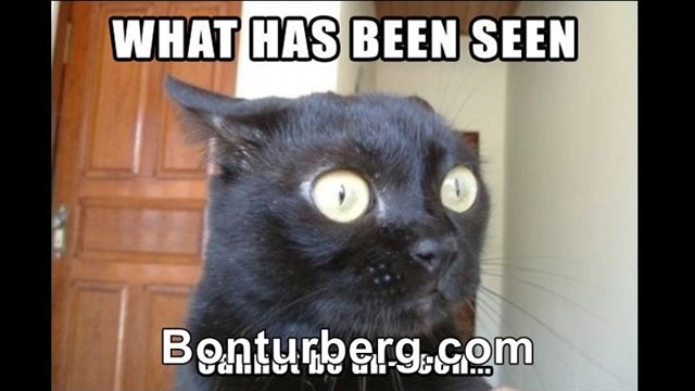 What Has Been Seen Cannot Be Unseen meme image: What Has Been Seen Cannot Be Unseen.