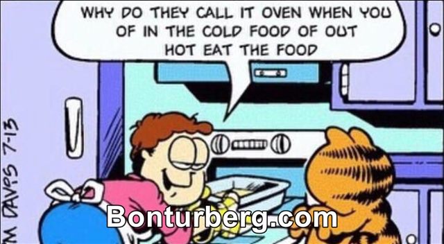 Why Do They Call It Oven? meme image: garfield why do they call it oven copypasta john.